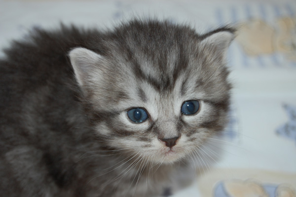 und man kann die Welt bestaunen.jpg